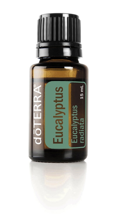 Eucalyptus Essential Oil 15 ml