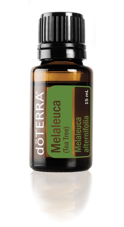 Melaleuca ( Tea Tree ) Essential Oil 15 ml